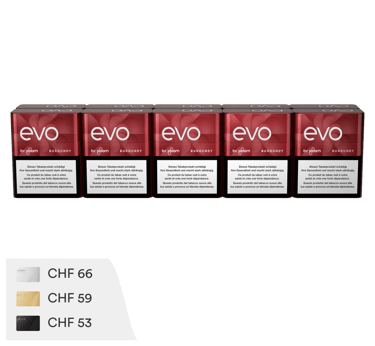 EVO Tobacco Sticks Burgundy - Carton