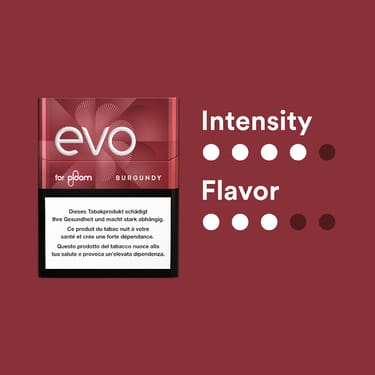 EVO Tobacco Sticks Burgundy - Carton