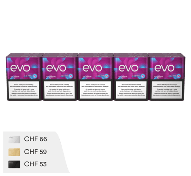 EVO Tobacco Sticks Purple Option - Carton