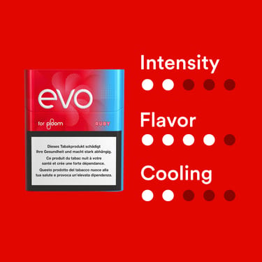 EVO Tobacco Sticks Ruby - Carton