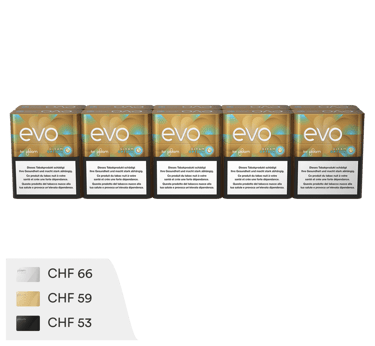 EVO Tobacco Sticks Gleam Option - Carton