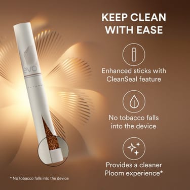 EVO Tobacco Sticks Burgundy - Carton