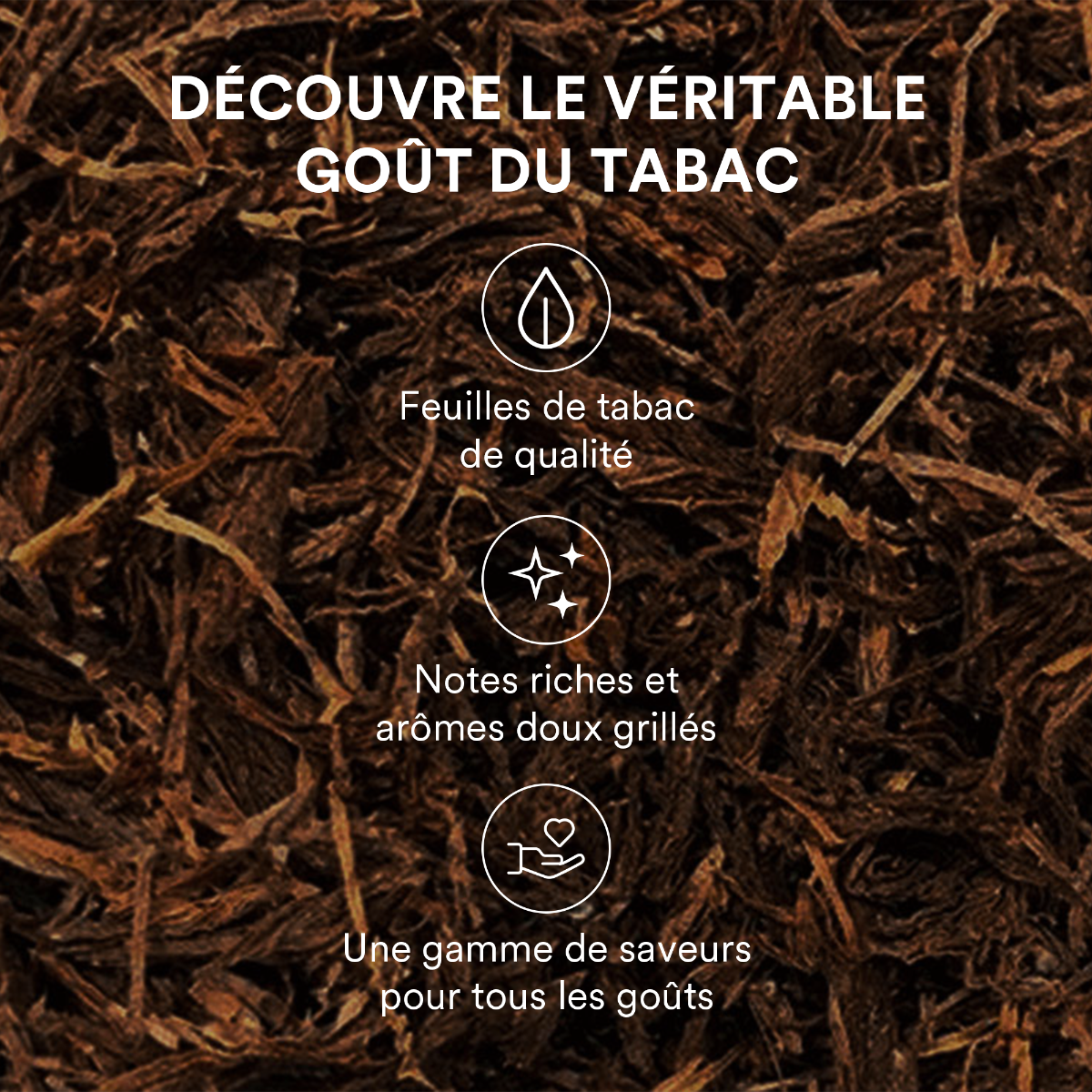 EVO Tobacco Sticks Tan - Carton